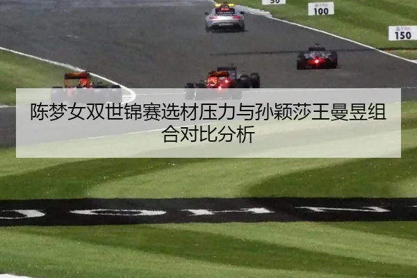 陈梦女双世锦赛选材压力与孙颖莎王曼昱组合对比分析