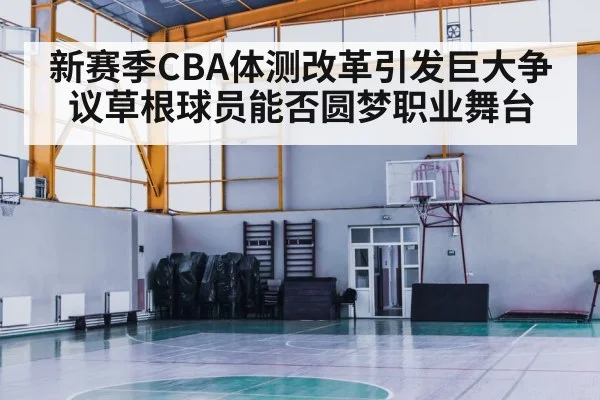 professional basketball court