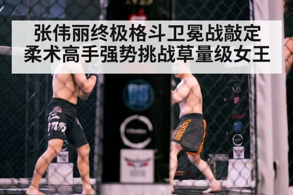 张伟丽终极格斗卫冕战敲定 柔术高手强势挑战草量级女王