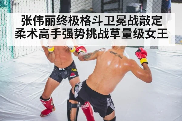 UFC octagon arena