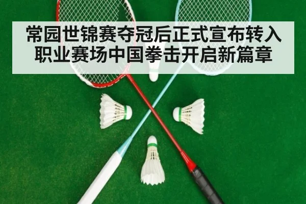 常园世锦赛夺冠后正式宣布转入职业赛场中国拳击开启新篇章