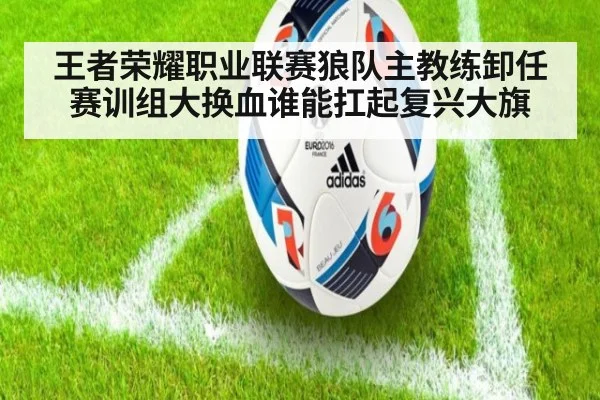 王者荣耀职业联赛狼队主教练卸任赛训组大换血谁能扛起复兴大旗